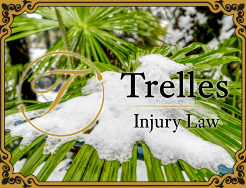 Trelles Injury Law Newsletter | Client Updates, Safety & Tips #17